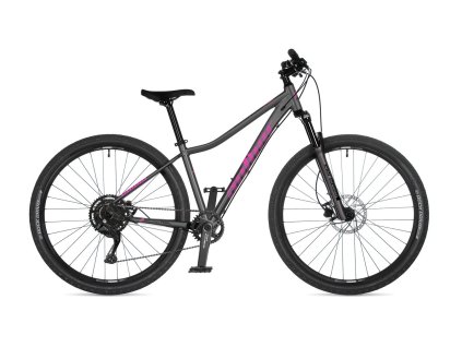 AUTHOR SOLUTION ASL 2026 STRIEBORNÁ 18" (29")